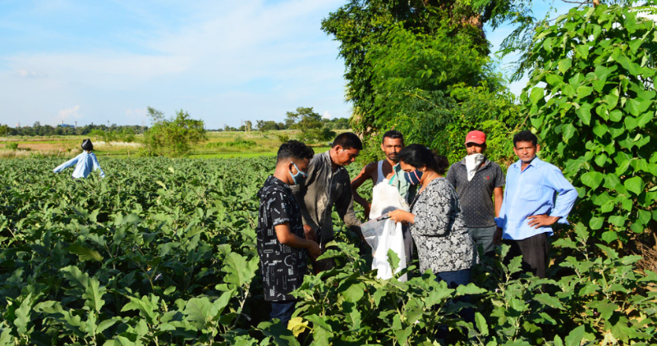 institute-of-environmental-studies-and-wetland-management